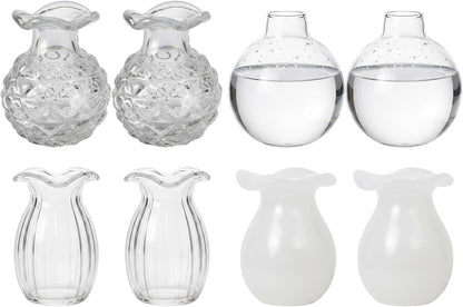 Mini Vasi Magnetici per Frigorifero – Set di 8
