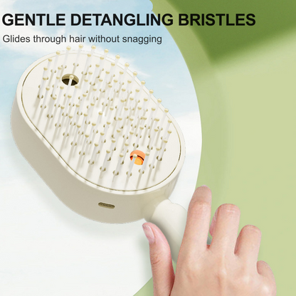 Electric Spray &amp; Massage Hair Brush
